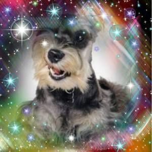 Meet your Posher, Joseph